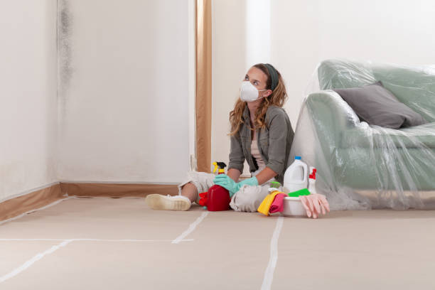 Reliable Basement Mold Remediation contractor in Macatawa, MI by WQB Mold Removal